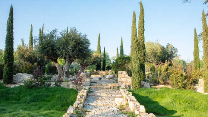 12-Le jardin me´diterrane´en, carte verte par Jean Mus (France) - © E. Sander